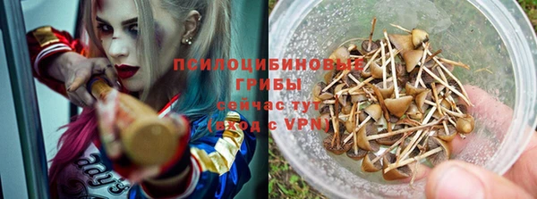 дурь Балахна