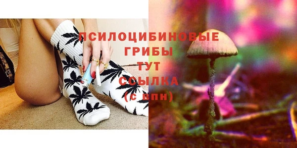 дурь Балахна