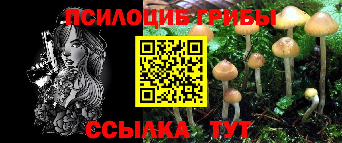 Псилоцибиновые грибы GOLDEN TEACHER  Вход с VPN  Белово 