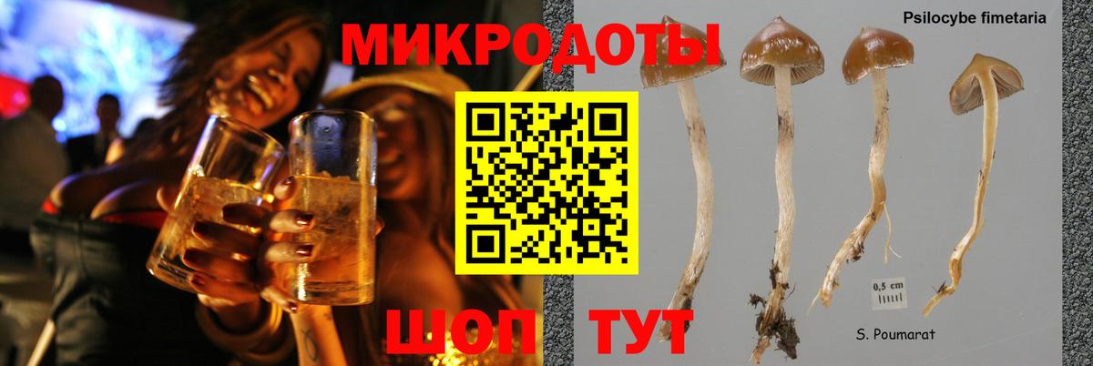 Галлюциногенные грибы ЛСД Белово