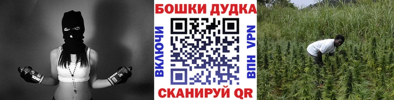 купить наркотики цена  Белово  МАРИХУАНА SATIVA & INDICA 